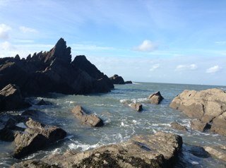 SAFFRONLOWRIE's profile picture. 