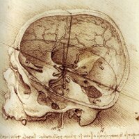 Antonello Pareto (@antoviral) 's Twitter Profile