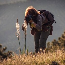 Katygomezfotos's profile picture. Fotografa, viajera y veterinaria.