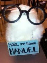 ¡Hola! ¡Este es el Twitter de la clase de español!