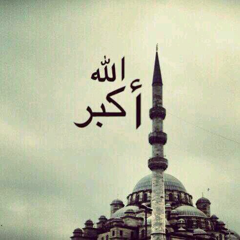 ‏‏‏‏حساب لنشر الخير والفوائد و الرتويت
اتمنئ يوصل الفلورز 100000
لا تبخلو بالفولو فإنها مجرد إظافه
ولك مثل اجر الفائده في نشرها
اتدارس مشاكل النفسيه و الزوجيه