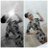 Andrea_cvc's profile image