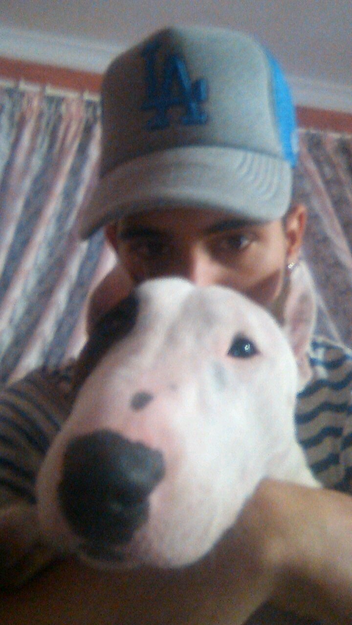 Lerxis's profile picture. 