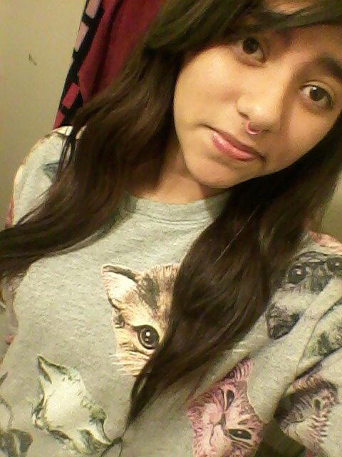 i love cats soo much !!my favorite color is BLUE and blessthefall is awsome!!!  meow :3  yay!! :D