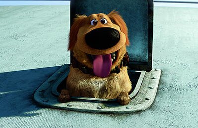 Sasafrass395's profile picture. ASM #6167