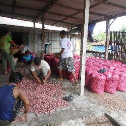 Jual-Beli Bawang Merah, Bawang Putih, Bawang Merah Goreng