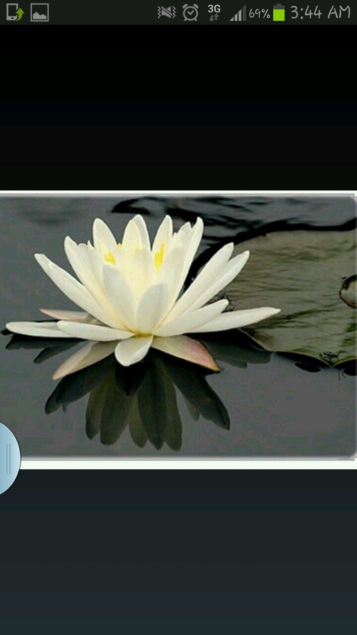 ‏‏‏‏حسابي القديم @AmmarLamar2007