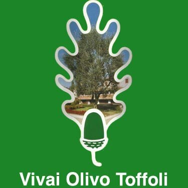 VivaiOToffoli's profile picture. Plant nursery and Landscape designers