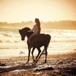 Love great Music, Horses, and the Beach. NY Giants. GH. Scorpio. Kindness is good.