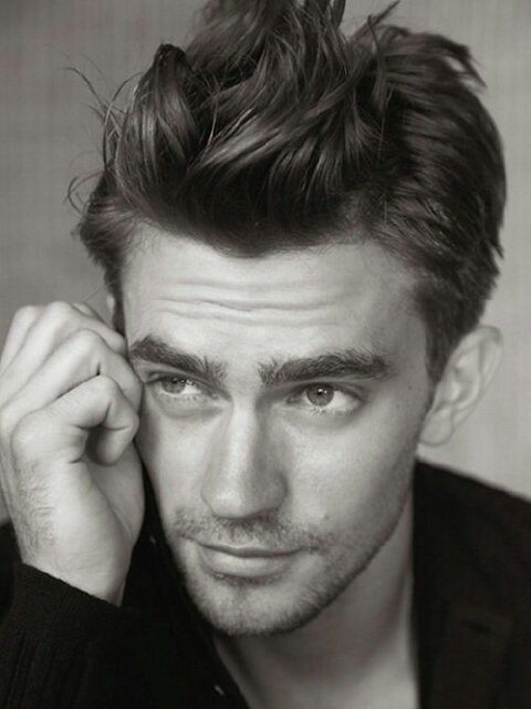 Vampiro. Jefe del clan de New York. Mas perfecto, imposible. Amo a Livvy Blackthorn mi eterna prometida.