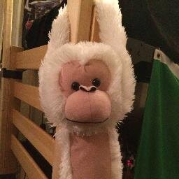 whtfontan's profile picture. Bitch you ugly and bitch you ugly and both y'all whole new scary. Been freeing da slavez since 1837. S/o to Barack. I reside on Jordon.