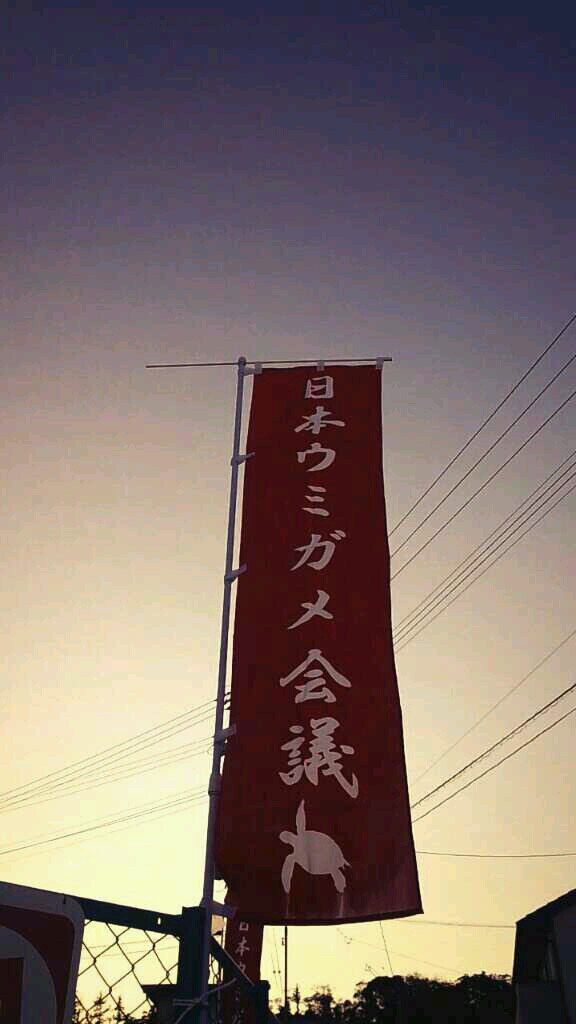 XkinokoX's profile picture. 鹿大二年/moumoon/ﾛｰﾄﾞﾚｰｻｰ/ｳﾐｶﾞﾒ/ｱｳﾄﾄﾞｱ 　夜の浜でｳﾐｶﾞﾒを撮影するときは産卵の邪魔にならないようﾗｲﾄを消し、産卵を終えて帰ろうとするのを確認してから撮影をしましょう