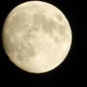 Haley Wilcox - @haleykmw - Twitter