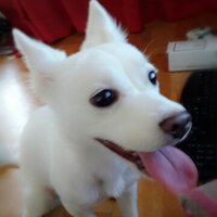슬 (@awesomesk) 's Twitter Profile