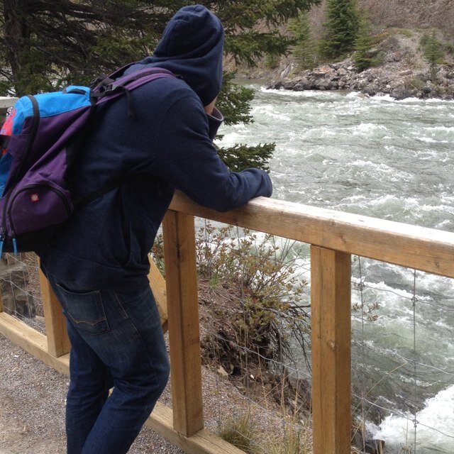 WartechFear's profile picture. 