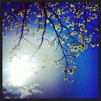 Nimbus (@nimbus_media) 's Twitter Profile