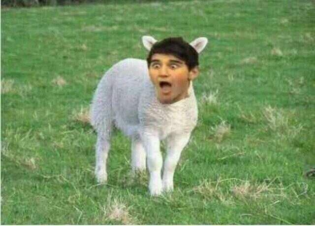 free follow for you guys cause im bored @Alyadalilah