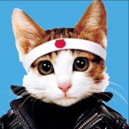 最新 なめ 猫 壁紙 パンダ イラスト 壁紙