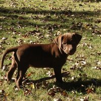 Jake Lambert (@jake_lambert3) 's Twitter Profile