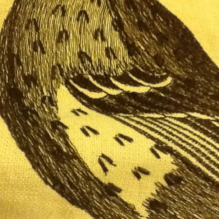 Lindabeary's profile picture. 