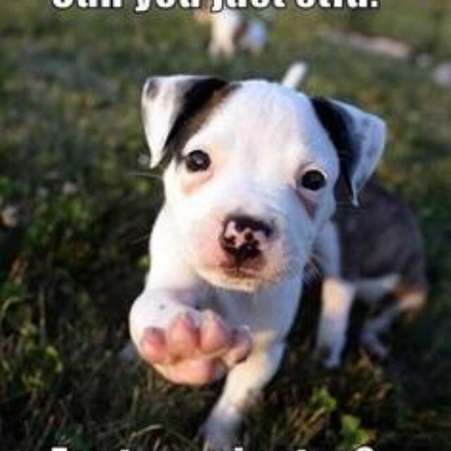 WhoMe42078282's profile picture. 