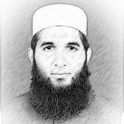 noumanit's profile picture. Web Developer