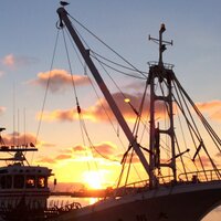 team11c (@team11c) 's Twitter Profile