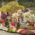 Barker Tours (@rosebowltours) Twitter profile photo