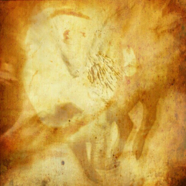 WAKE UP Hip Hop Artist Mixtape coming soon #WENPIGSFLY#FLYG