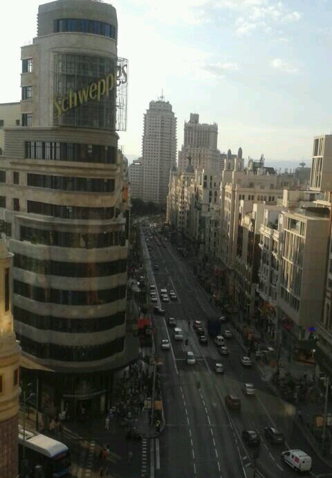 VirginiaCano's profile picture. 