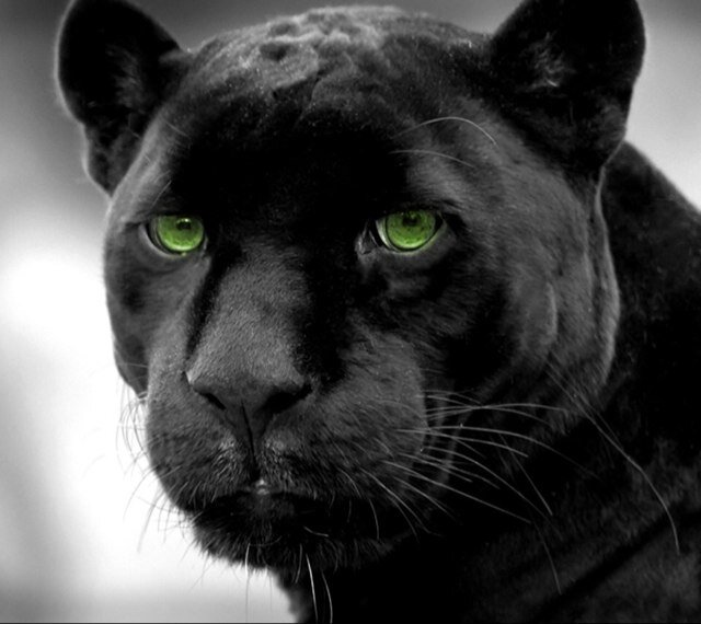 hidechanxxkuma's profile picture. Drum / Skate / ボディピアス / 水曜どうでしょう / 最終兵器彼女 / コーヒー / グレープフルーツ / 東方 / 水族館 / プラネタリウム / アニメ / 【一生俺はバンドマンします】