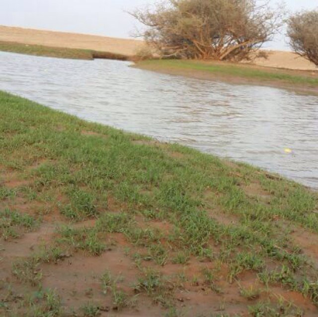 548888797's profile picture. BB:761513ab