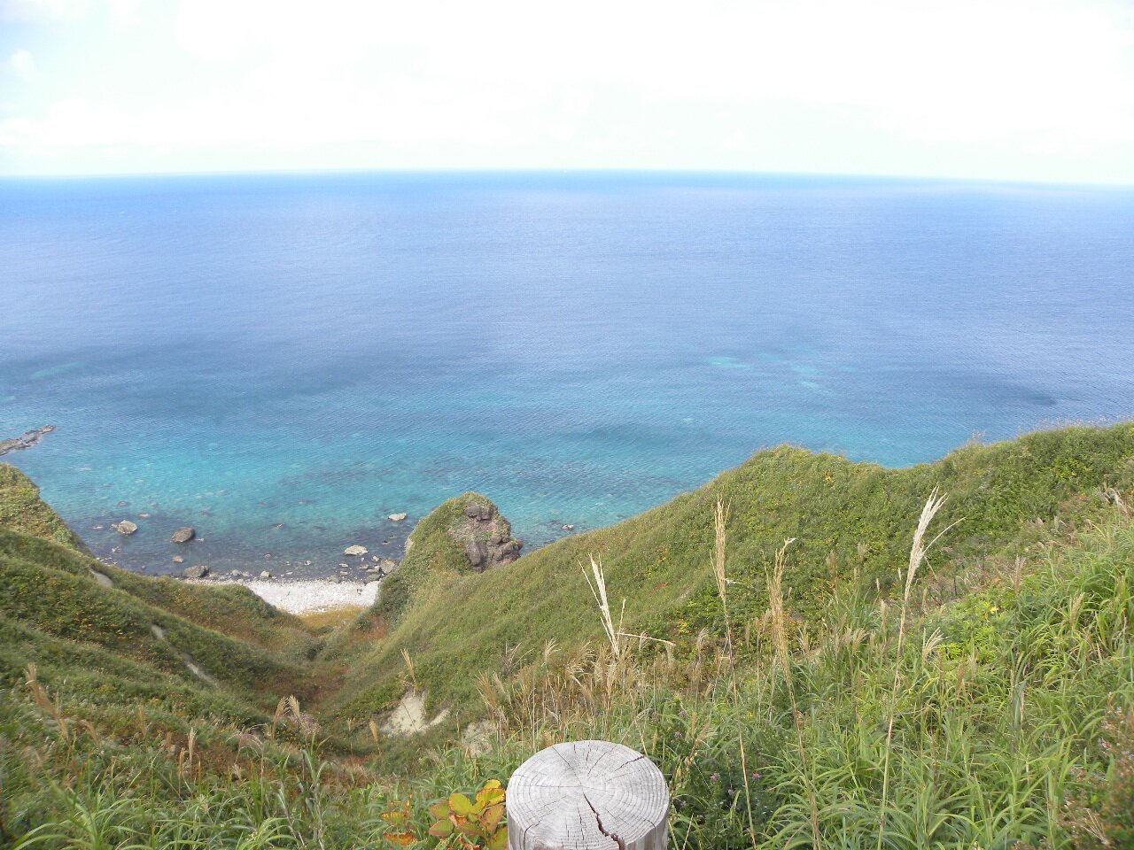 お気軽にフォローよろしくお願いします☆