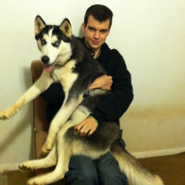 ArktechBuilder's profile picture. 