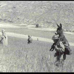 fenoMen Adayı