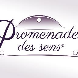 Promenade_dsens's profile picture. Découvrir #Paris autrement : balade gourmande, rallye pédestre, visite guidée, art de vivre, tour sur mesure #Paris #eventprofs #incentive #teambuilding #event