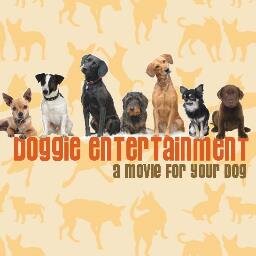 a DVD featuring the spectacular footage of over 20 various animals to entertain your dog. No more feeling guilty for leaving your dog at home alone.