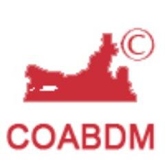 Archiveros, Bibliotecarios y Documentalistas convencidos de que es necesario un órgano oficial que represente a nuestra profesión en Madrid.