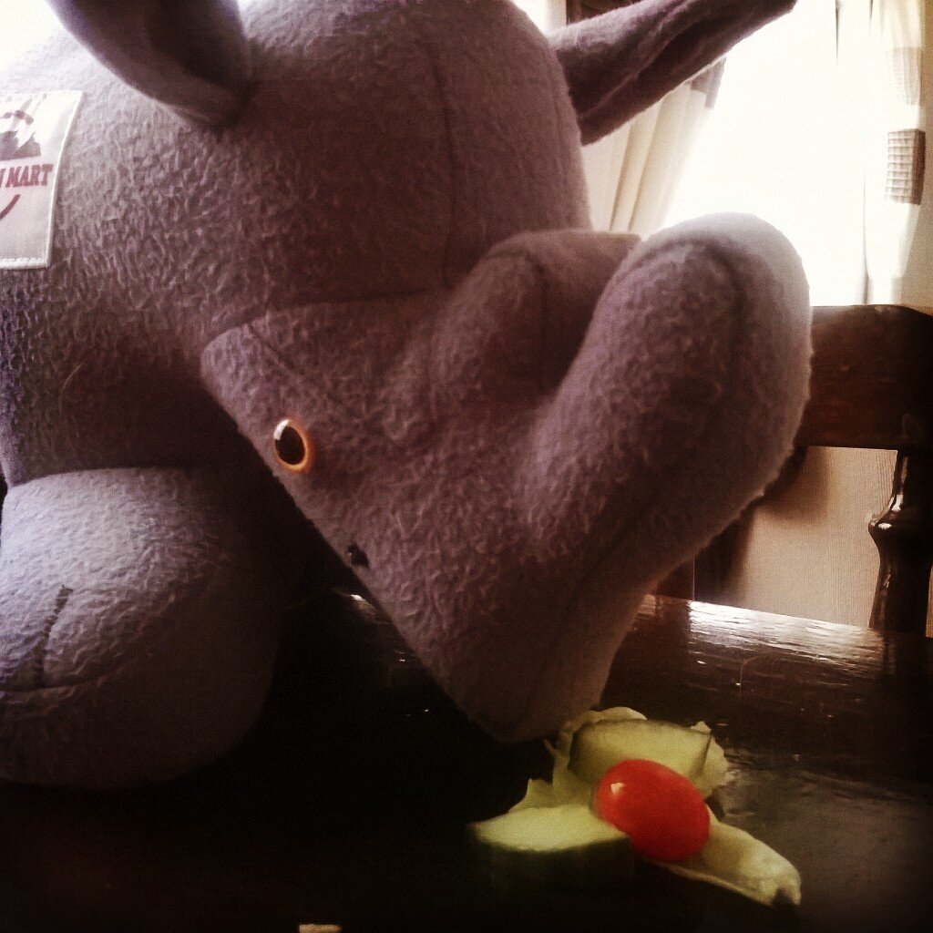 Umkhombe7's profile picture. Umkhombe The Rhino. It is my aim to increase the awareness of the Endangered Wildlife Trust and by doing so Win R20 000 for them.