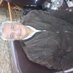 said hakim (@saidhakim2) Twitter profile photo said hakim (@saidhakim2) Twitter profile photo