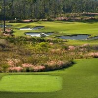 PreserveGC Agronomy (@preservegcagr) 's Twitter Profile Photo PreserveGC Agronomy (@preservegcagr) 's Twitter Profile Photo