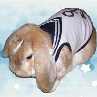 霧姫知華 (@c_kirihime) 's Twitter Profile
