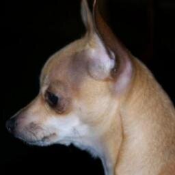 schuller42's profile picture. Nursing Assistant Specialist,Mother of 2