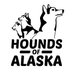 Hounds of Alaska (@houndsofalaska) Twitter profile photo Hounds of Alaska (@houndsofalaska) Twitter profile photo