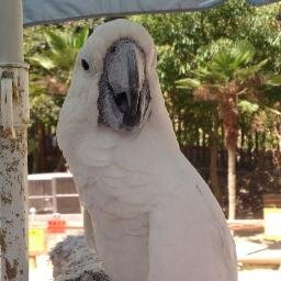 沖縄大好き、生き物大好き、散歩大好き、折り紙大好き、好きな動物園しろとり動物園、好きな水族館美ら海水族館、好きな博物館倉敷市立自然史博物館と名和昆虫博物館、好きな昆虫館伊丹市昆虫館、好きな公園小幡緑地、好きなお山白神山地、いってみたい場所スイスと北海道　　脈絡なし！見にくい！