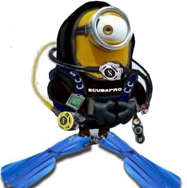 Scuba diver, keen cyclist scared to go off road, shark hugger, avid business traveller.