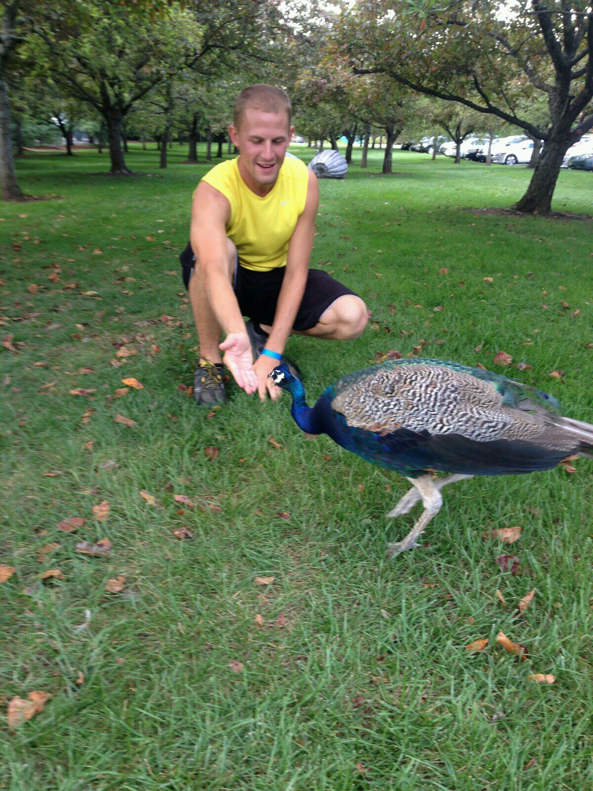 KenCalello's profile picture. 