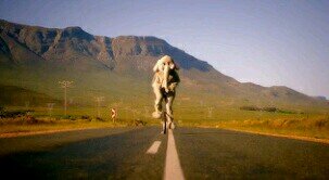 losmuleros's profile picture. Sexo