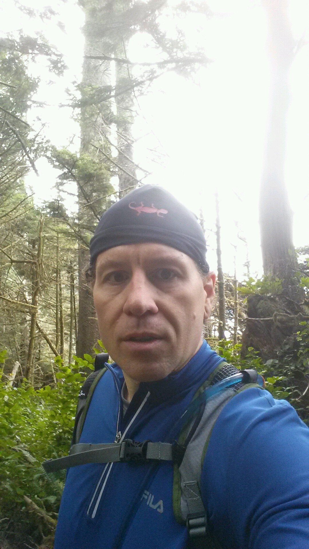 Technology Consultant, Trail Runner