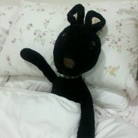 뇌짱 (@neh0400) 's Twitter Profile